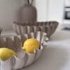 Schaal Ribbel